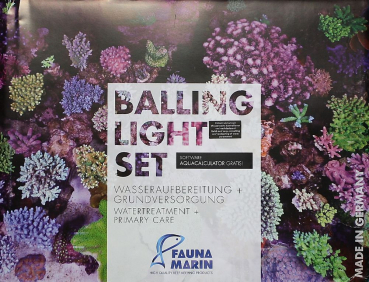 Balling Light Set Fauna Marin